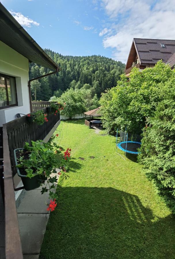 Pensiunea Raisa Busteni Bagian luar foto